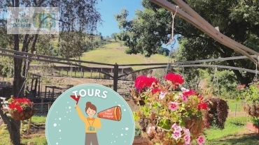 Fazenda Atalaia - Excursão do Tours às Terças  e Sábados -  Com Almoço 